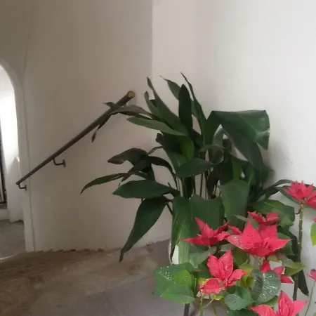 Boutique 3* Tropea
