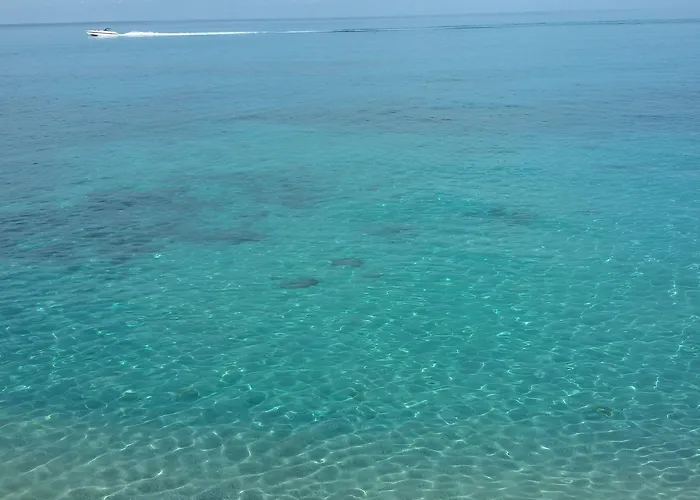 Boutique 트로페아